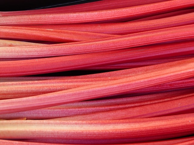 rhubarb