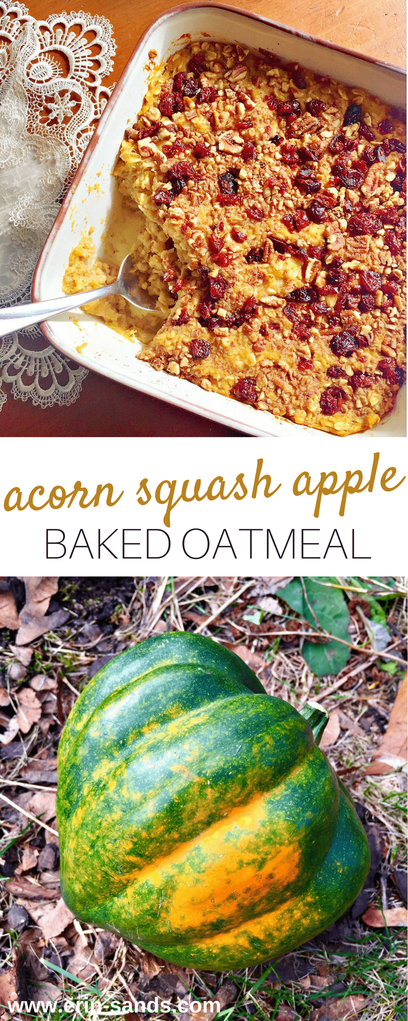 Acorn Squash Apple Baked Oatmeal