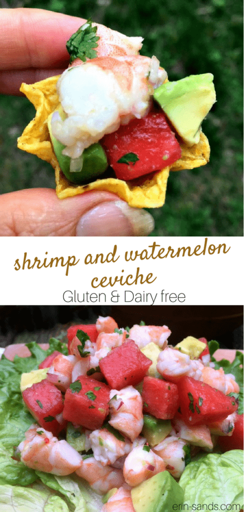 Shrimp and Watermelon Ceviche